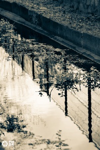 Parc Pierre Montgroux