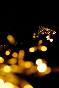 Château de Menthon St-Bernard