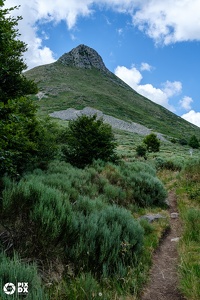 Puy Griou