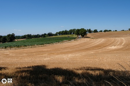 Fonfroide