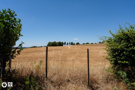 Fonfroide