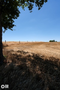 Fonfroide